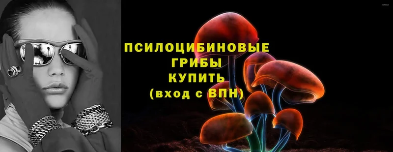 Псилоцибиновые грибы ЛСД  даркнет сайт  ОМГ ОМГ ССЫЛКА  Родники 